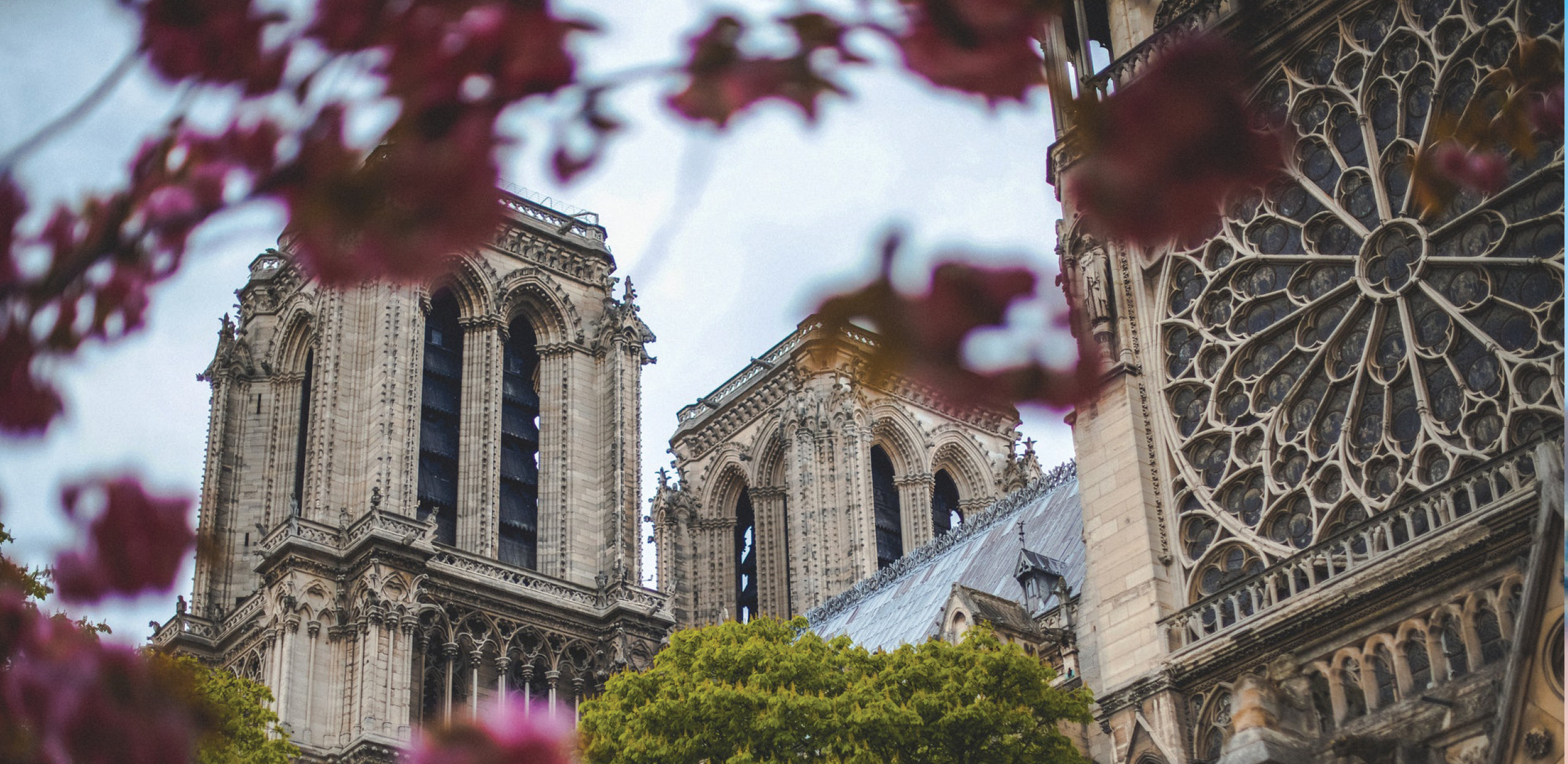 Pozadina Notredamedeparis