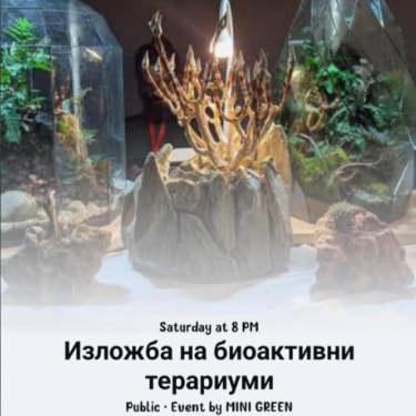 Screenshot 2025 06 19 124521